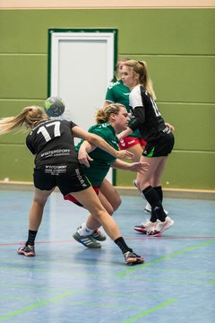 Bild 250 - Frauen HSG Kremperheide/Muensterdorf - HFF Munkbarup : Ergebnis: 28:27